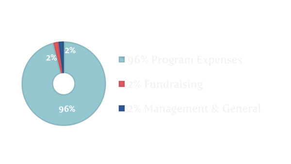 budget-graph---website1
